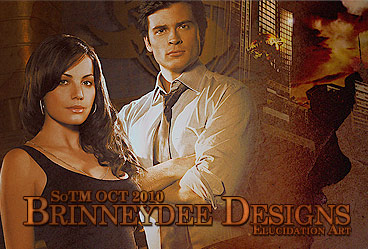 October 2010 Brinneydee Designs